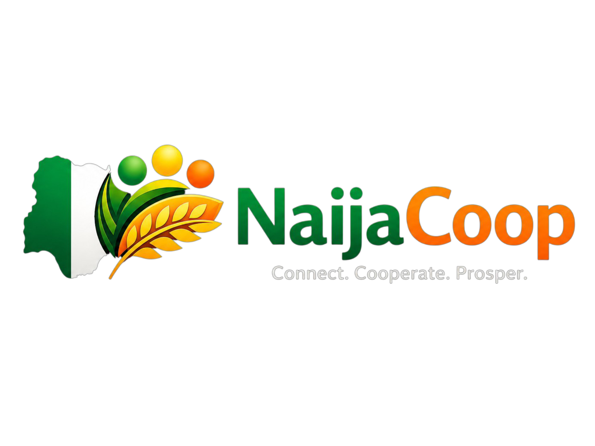 NaijaCoop logo